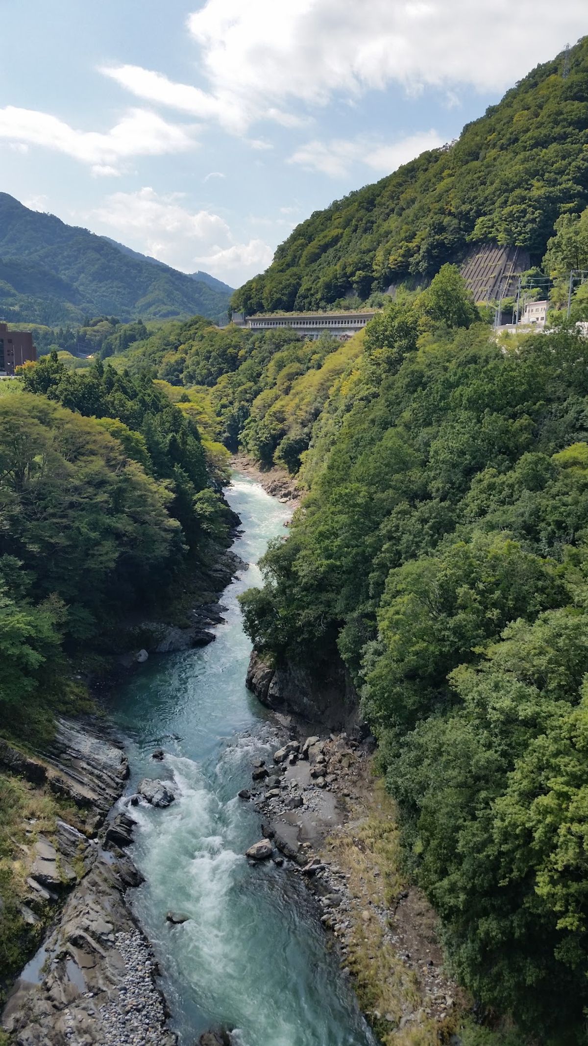 山道を抜けて山中湖まで。
都内は平地なので距離が稼げても、山に入ってからひ...
