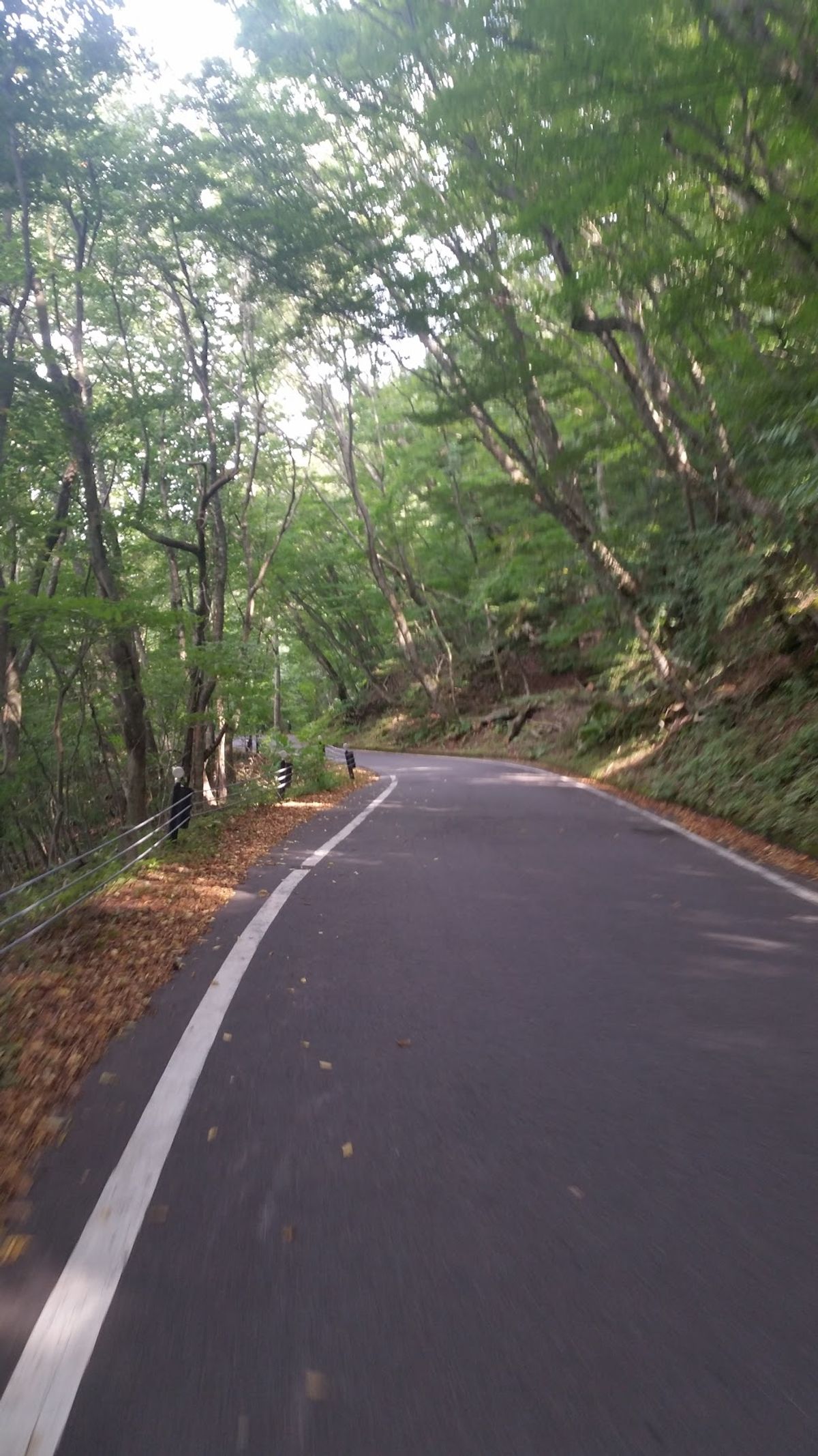 元々どういう行程でどこに行くかも考えず、取り敢えず富士山行ってみよう的なノ...