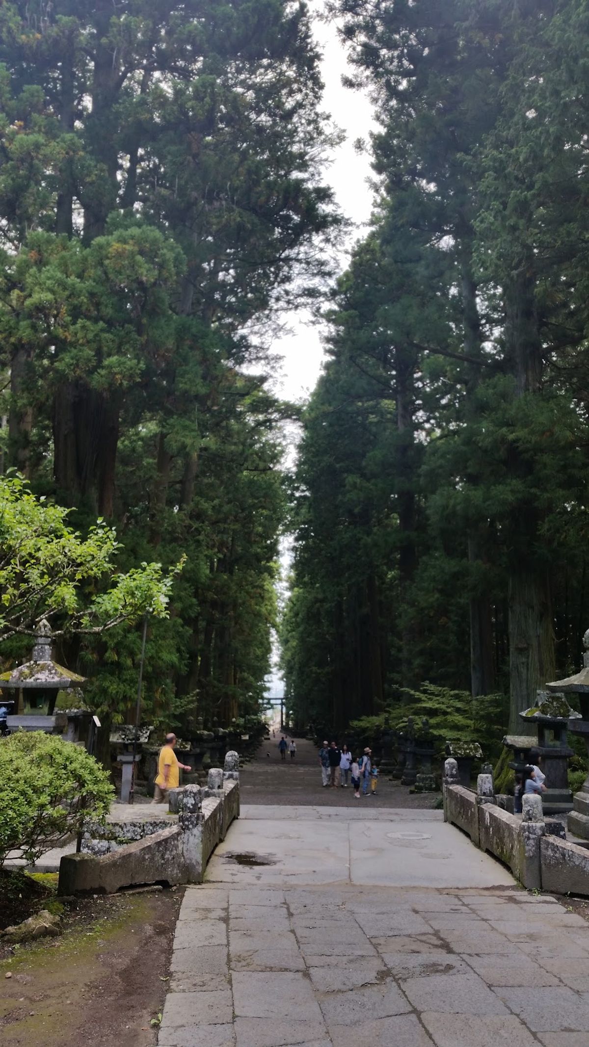 2日目、目が覚めてテントから這い出したら見事な晴れで、富士山が見事に見えた...