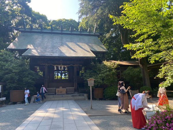 日本・神奈川県「小田原旅行」の写真