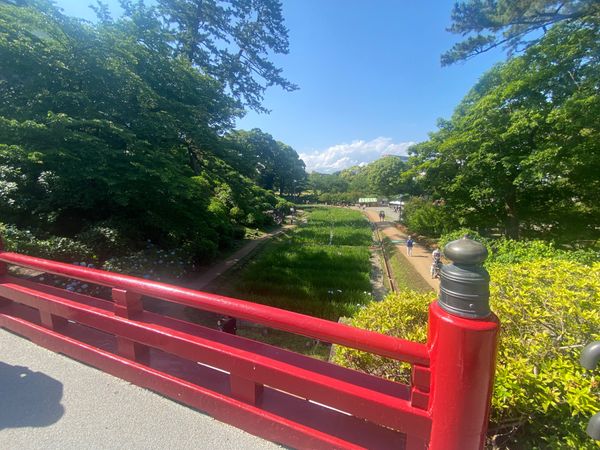 日本・神奈川県「小田原旅行」の写真