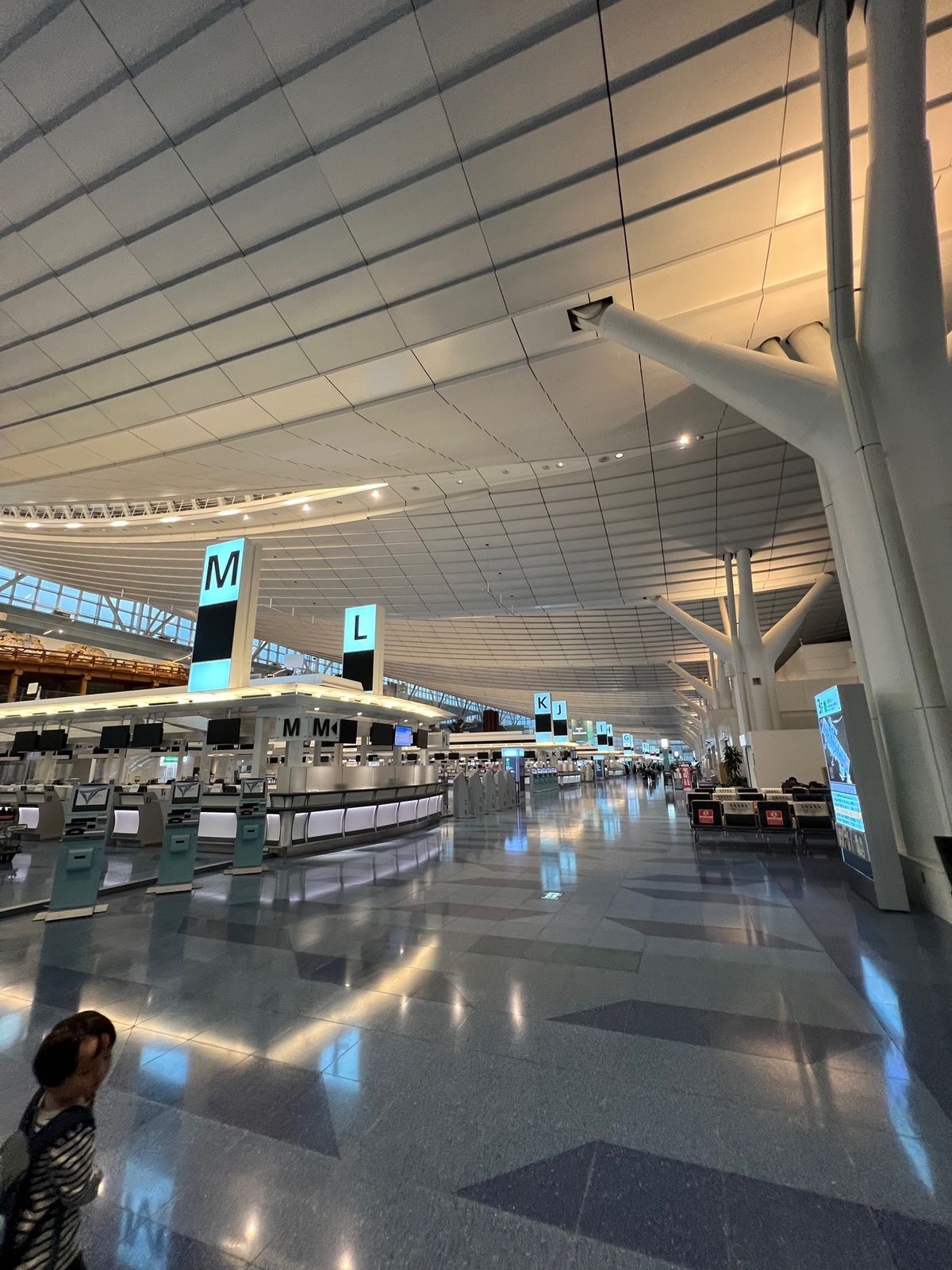 羽田到着！こんなに準備が大変だった海外旅行は初めてだ。。

宣誓書と接種証...