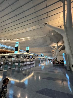 羽田到着！こんなに準備が大変だった海外旅行は初めてだ。。

宣誓書と接種証...