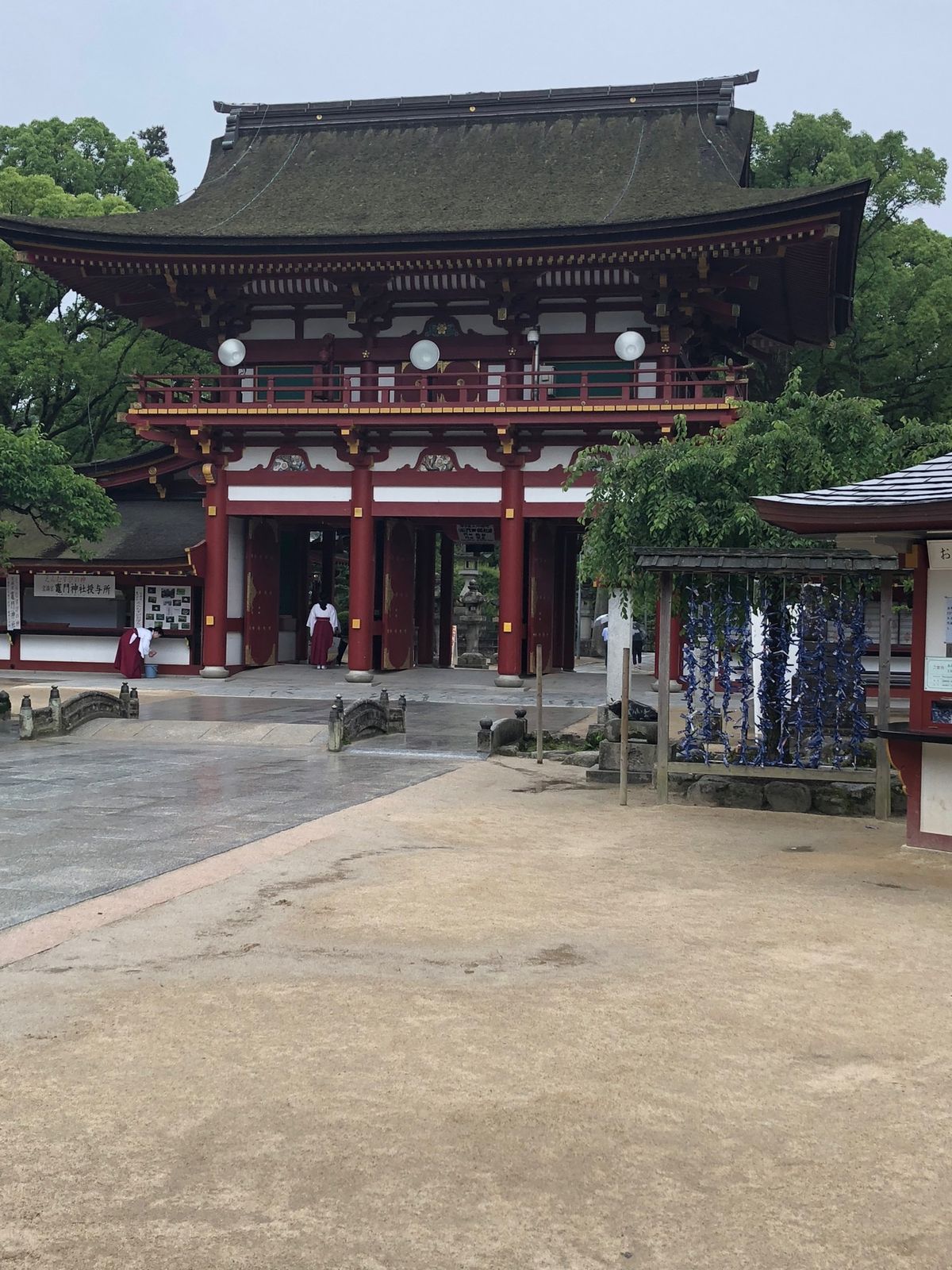 出張なので写真流用2018年です。