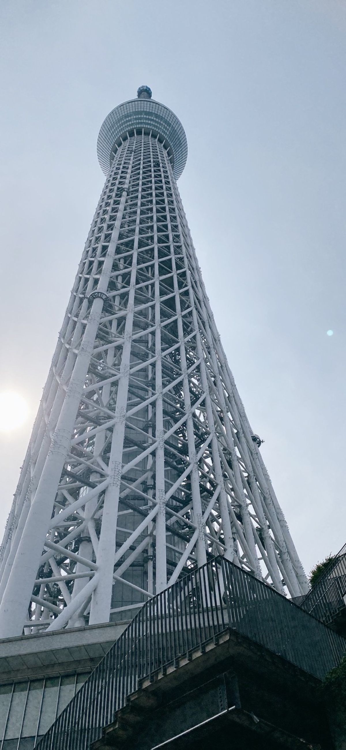 スカイツリー
足元こわい😱
10周年でした！