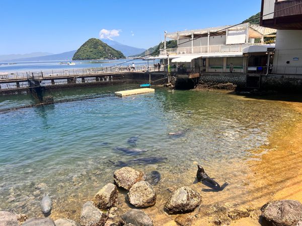 日本・静岡県「西伊豆」の写真
