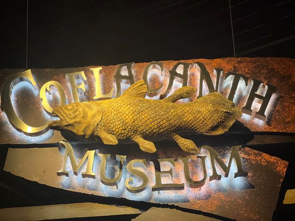 日本・静岡県「西伊豆」の写真