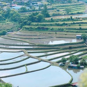 展望台から見る扇状の棚田は水鏡がきれいです