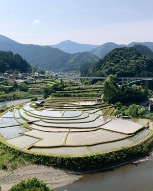 展望台から見る扇状の棚田は水鏡がきれいです