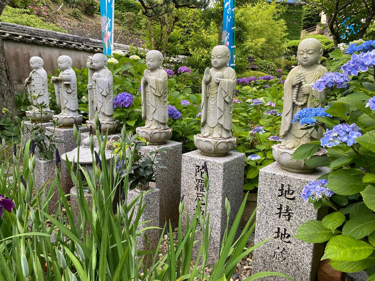 2日目はアジサイで有名な大慈寺でアジサイを眺め、大王崎灯台へ。この町は地域...