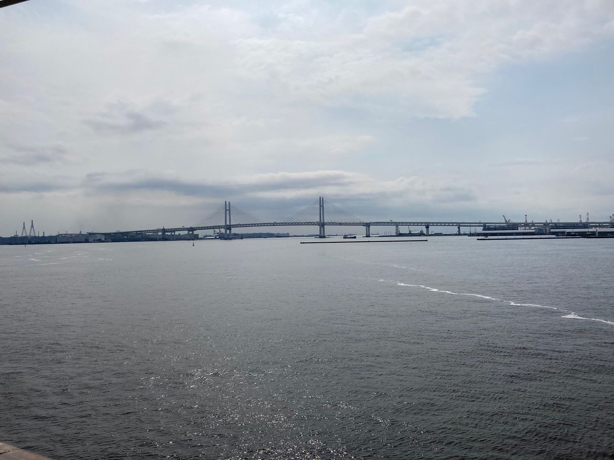 一夜明けて朝食。和食かバイキングか選べたので、バイキングへ。めっちゃ美味し...