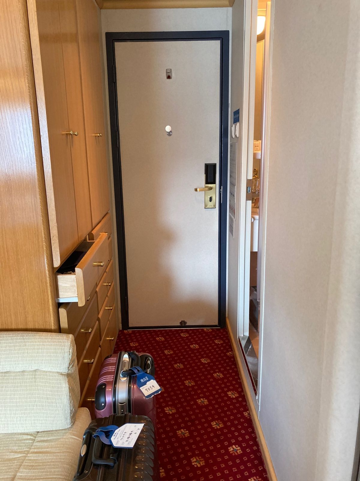 船内。客室は普通のホテルと遜色ないですね。長旅を想定してるからか、ものすご...