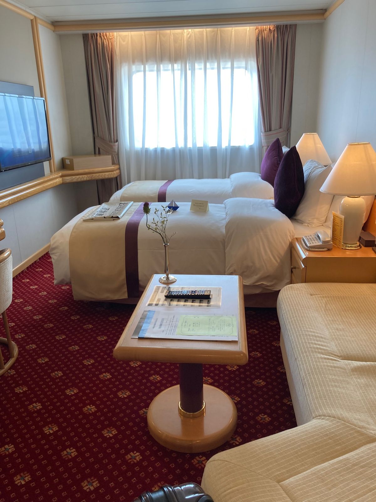 船内。客室は普通のホテルと遜色ないですね。長旅を想定してるからか、ものすご...