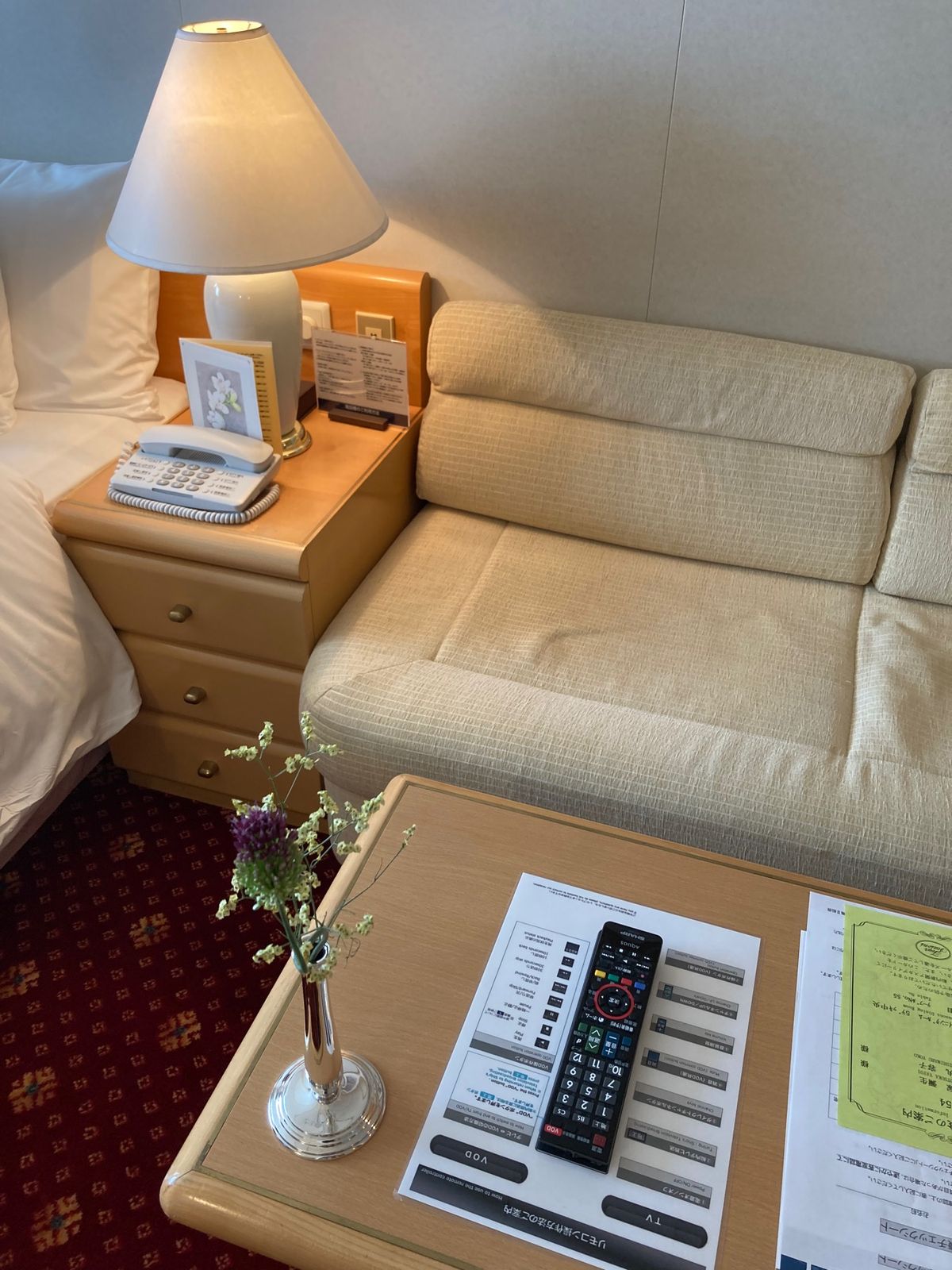 船内。客室は普通のホテルと遜色ないですね。長旅を想定してるからか、ものすご...