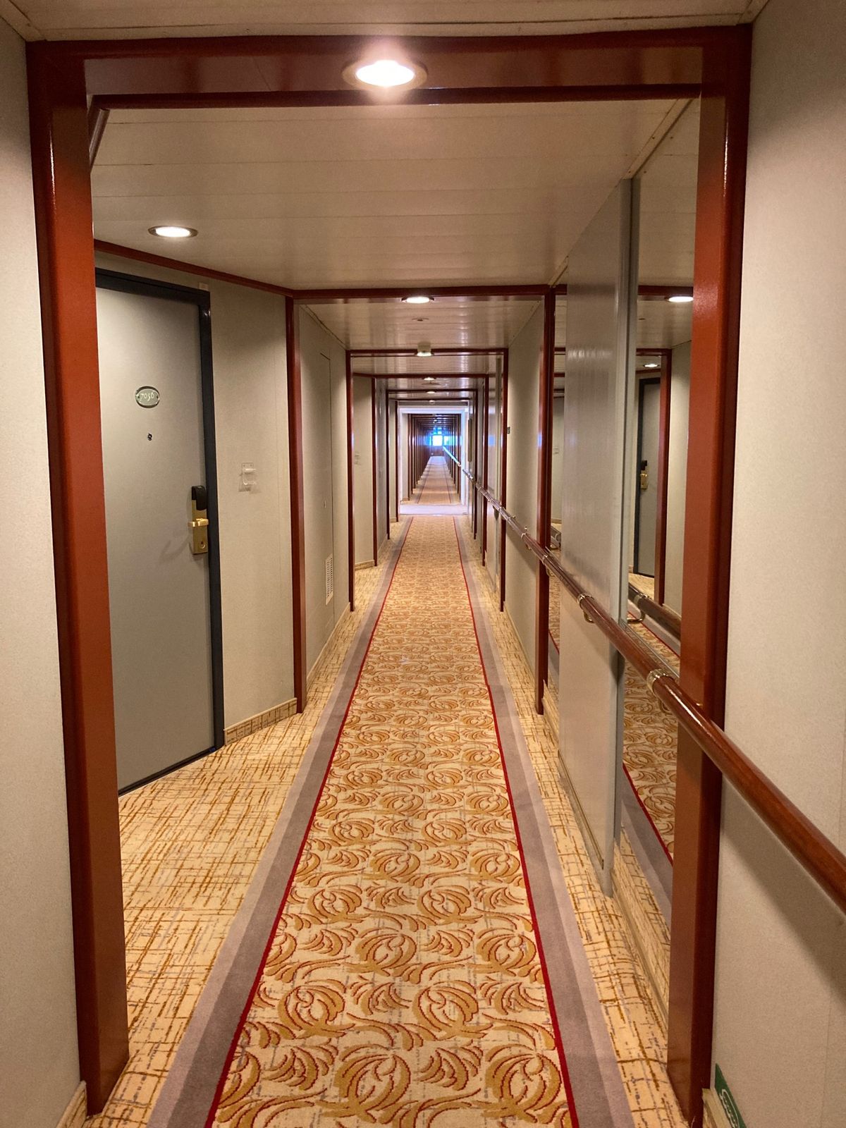 船内。客室は普通のホテルと遜色ないですね。長旅を想定してるからか、ものすご...