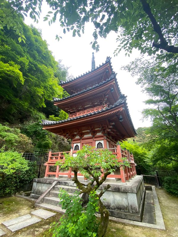 日本・京都府「京都旅行」の写真