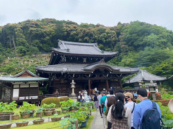 日本・京都府「京都旅行」の写真
