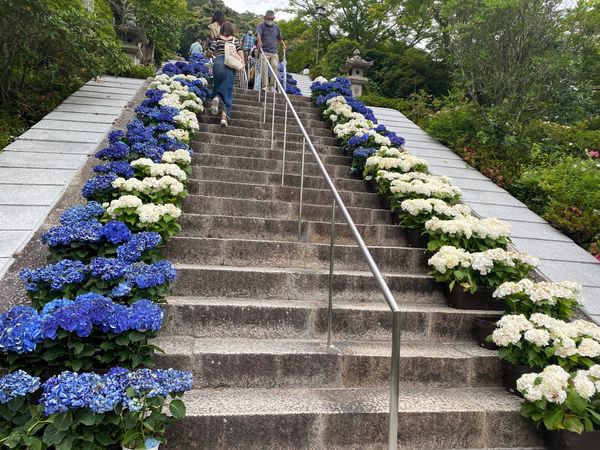 日本・京都府「京都旅行」の写真