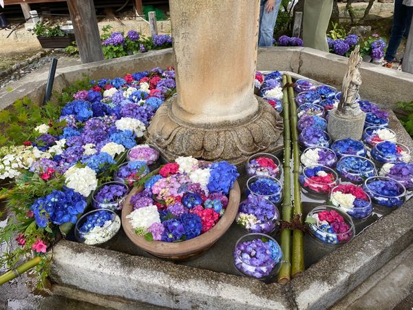 日本・京都府「京都旅行」の写真
