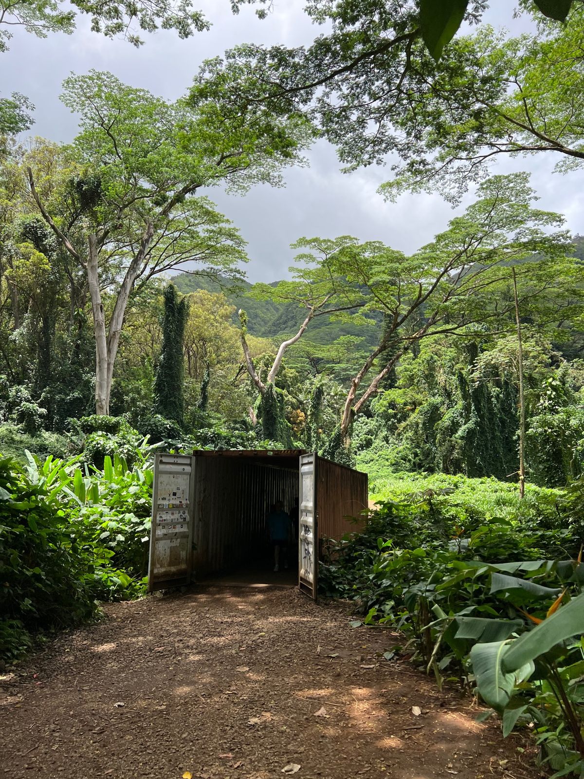 マノアの滝
ようやく観光らしいことをしてきました