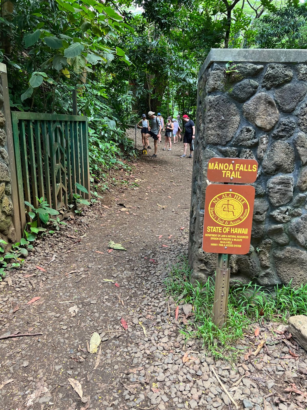 マノアの滝
ようやく観光らしいことをしてきました