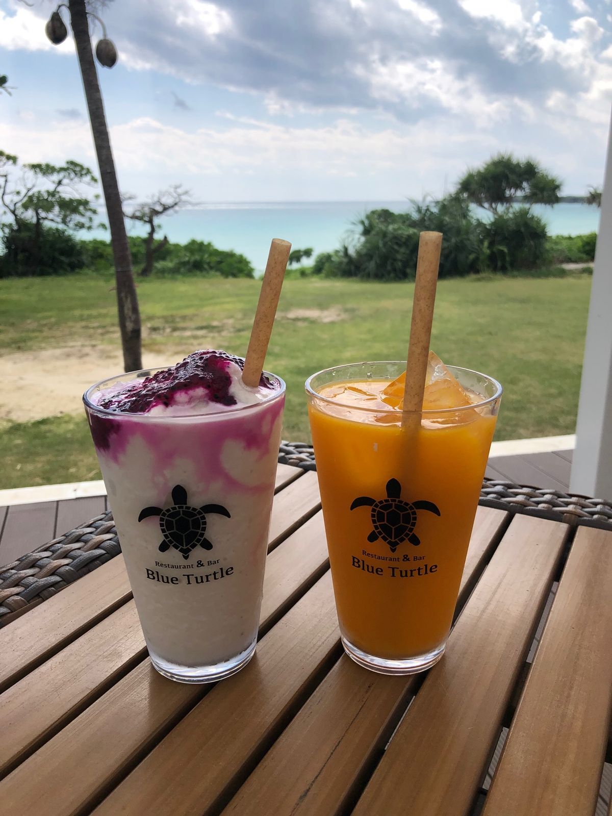 とっても綺麗なハイビスカス🌺