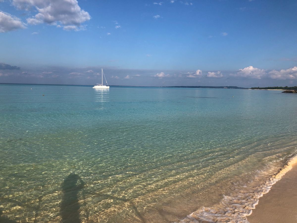 限りなく透明に近いブルー✨