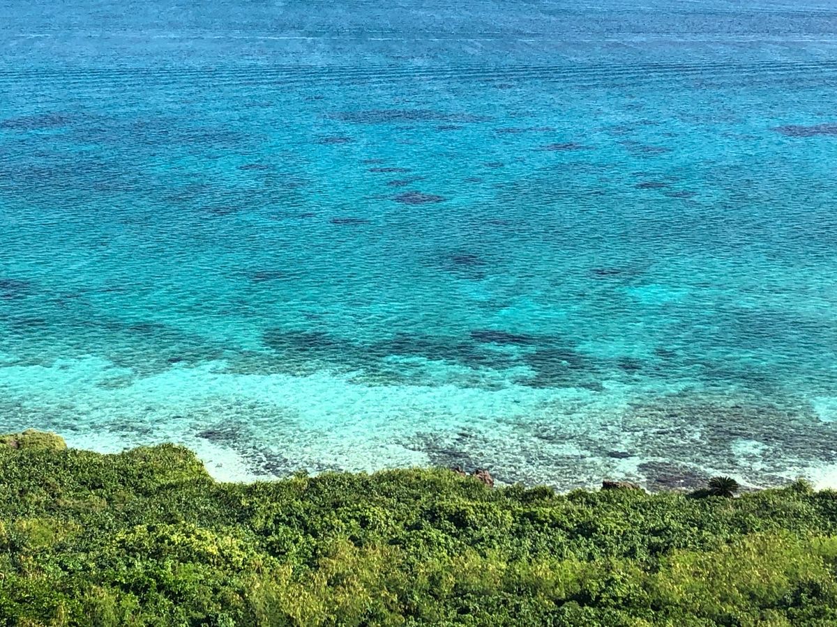 限りなく透明に近いブルー✨