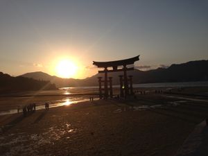 夕日が沈む瞬間の鳥居はとても美しい✨✨