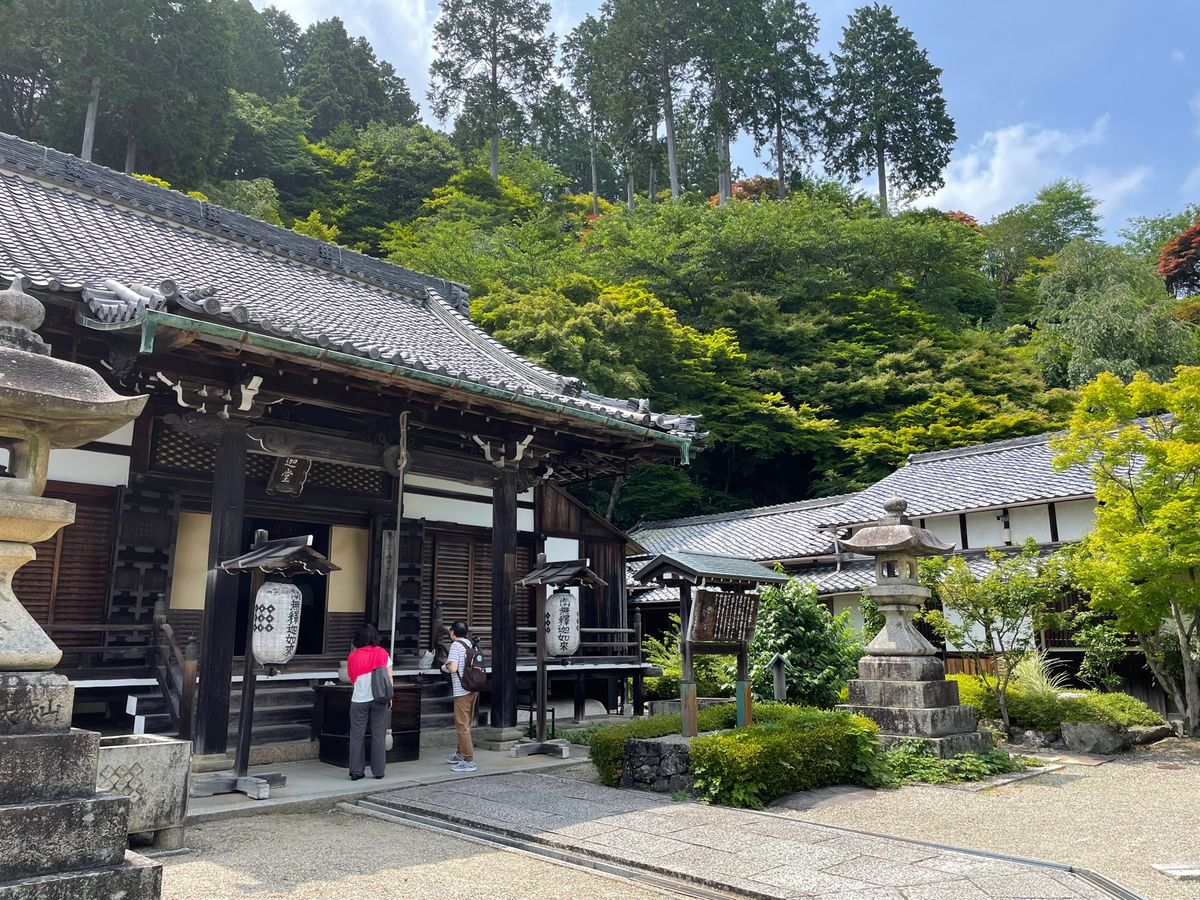 善峯寺の紫陽花苑。