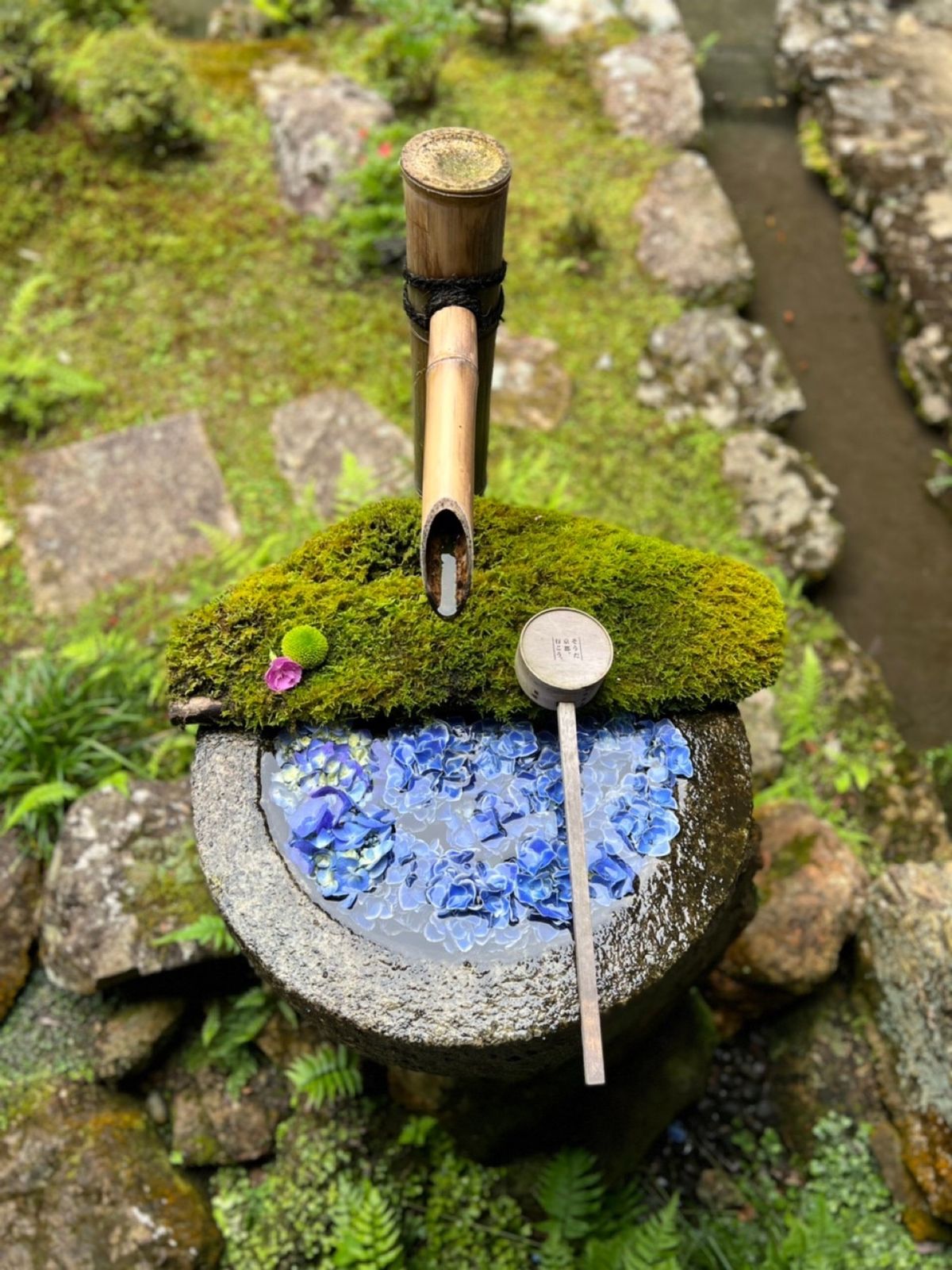 柳谷観音楊谷寺の花手水。どれも「映える」
