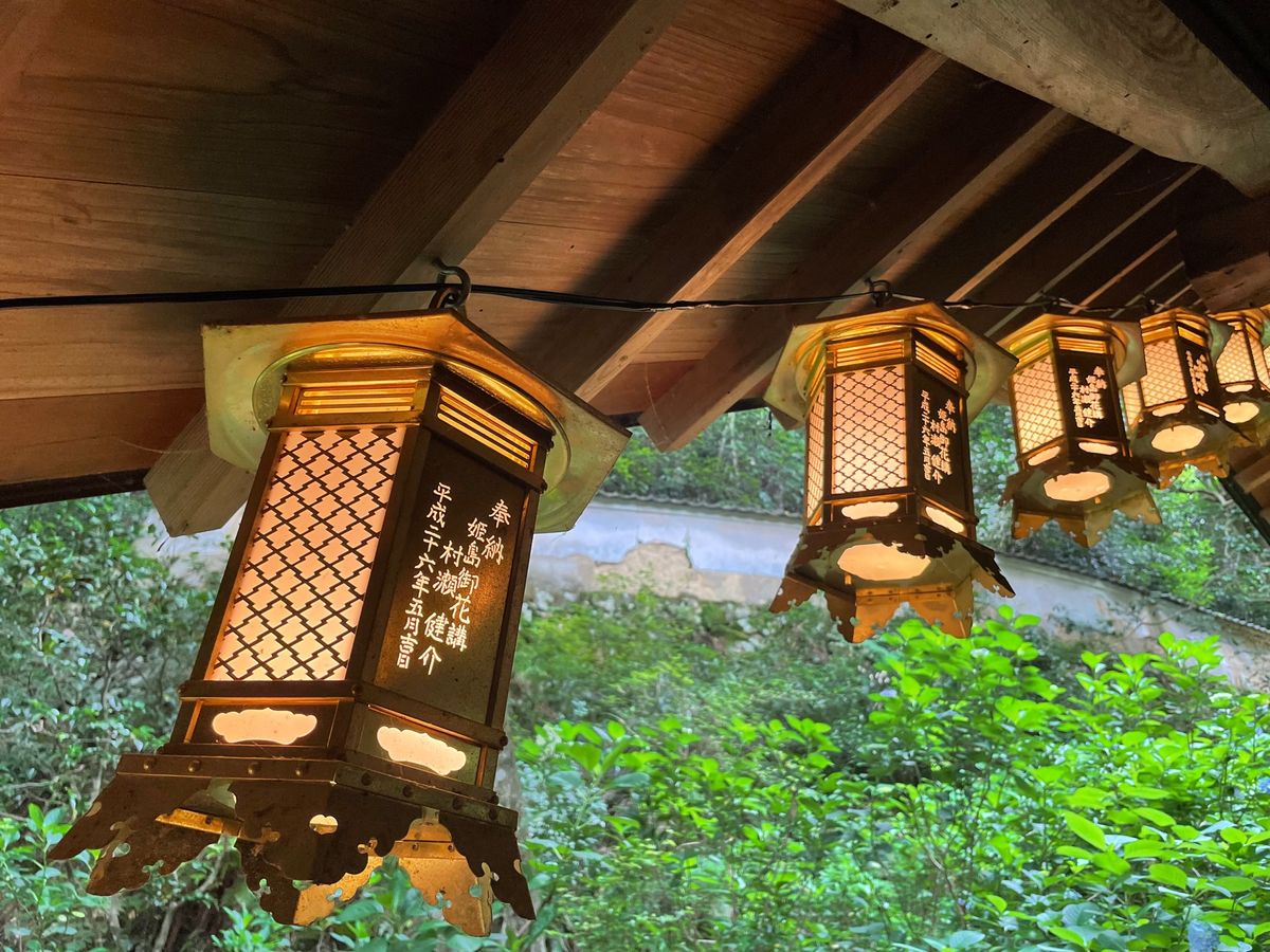 楊谷寺の紫陽花。