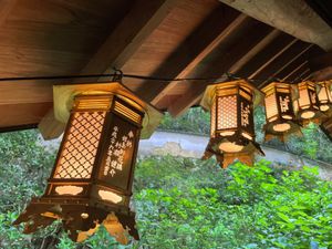 楊谷寺の紫陽花。