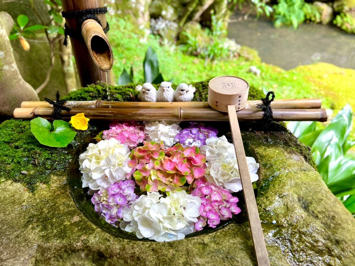 柳谷観音楊谷寺の花手水。どれも「映える」
