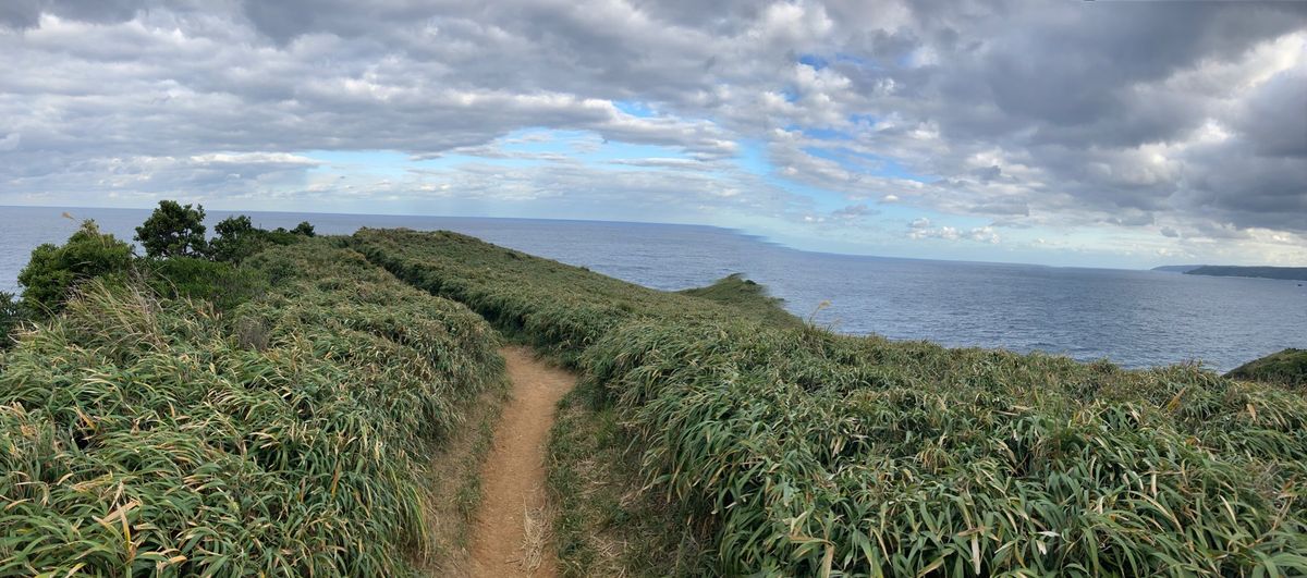 すべて花丸な旅でした。
鶏飯さいこー！！！