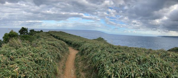 日本「年末年始に奄美大島」の写真：すべて花丸な旅でした。
鶏飯さいこー！！！