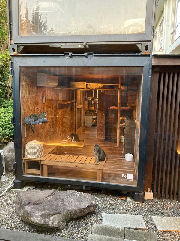 日本「山口県！」の写真：猫庭よかった🐈
壇ノ浦、角島まさかの帰り...