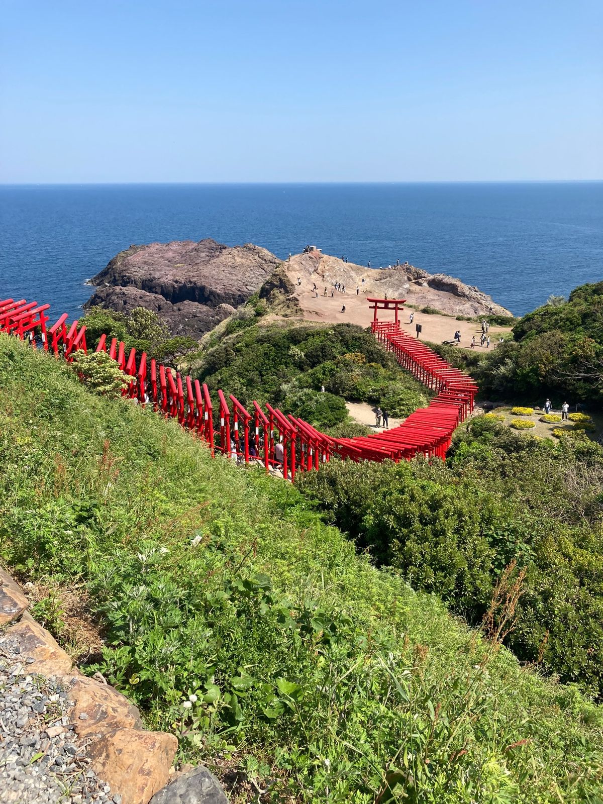 猫庭よかった🐈
壇ノ浦、角島まさかの帰り渋滞🤣パワースポット！！！また行き...