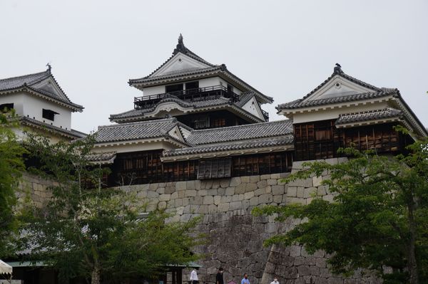 日本・愛媛県「愛媛」の写真