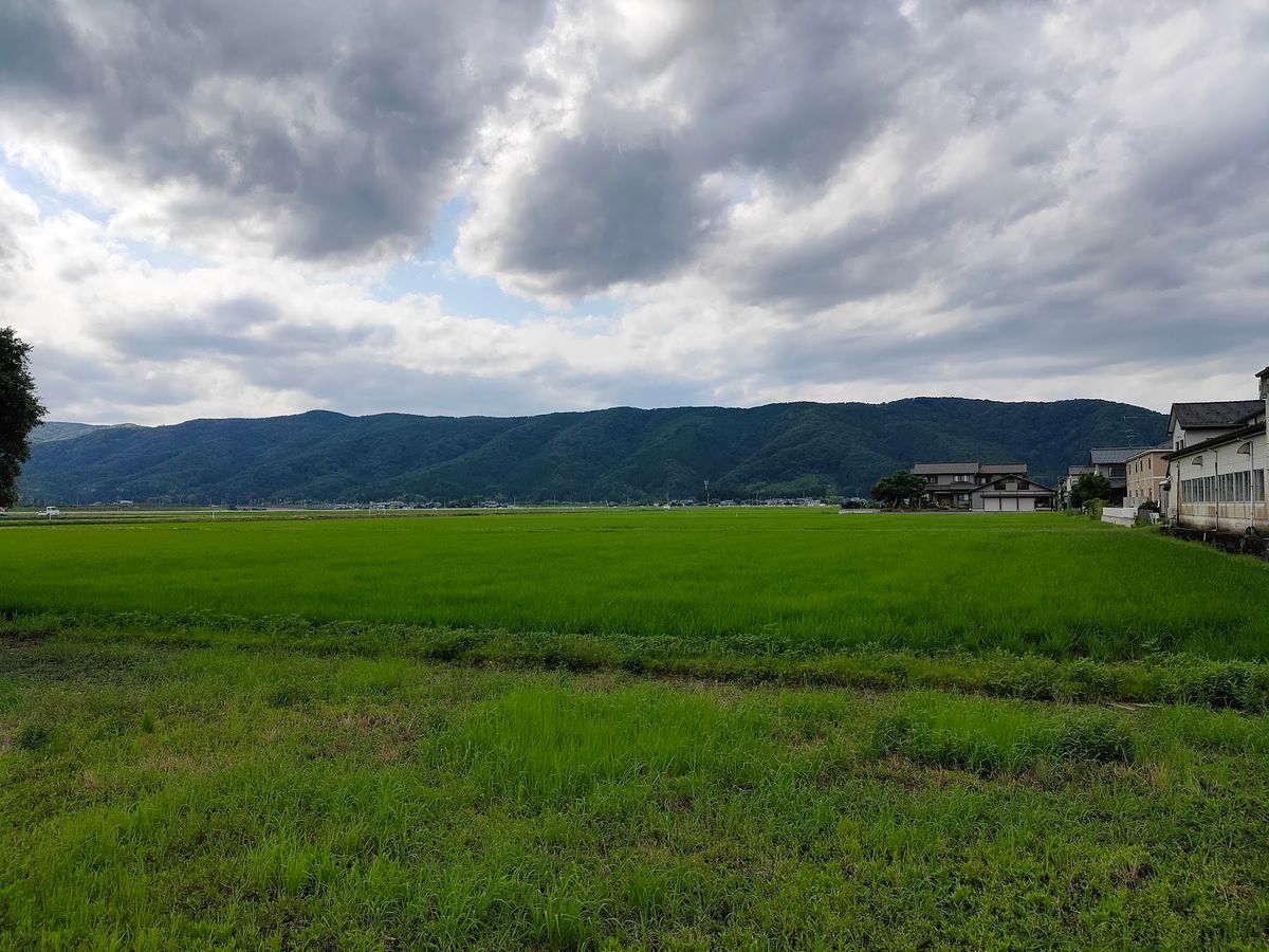 福井に行くには飛行機の方が安いらしい。富士山が薄く重なる雲の向こうにきれい...