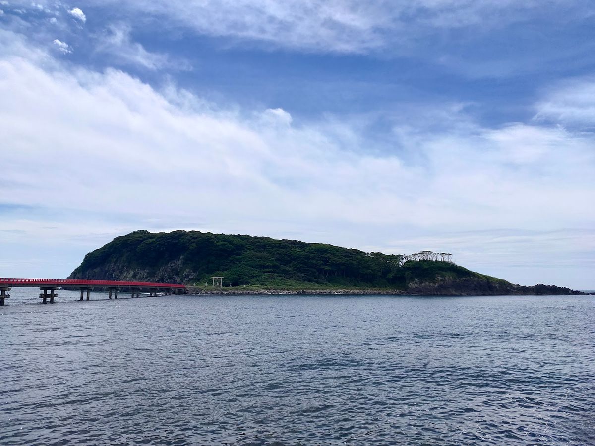 島は自然がよく保存されている、古い森という感じで良い。社まで続く石段は石だ...