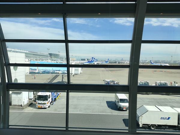 日本・福井県「福井出張」の写真：福井に行くには飛行機の方が安いらしい。富...