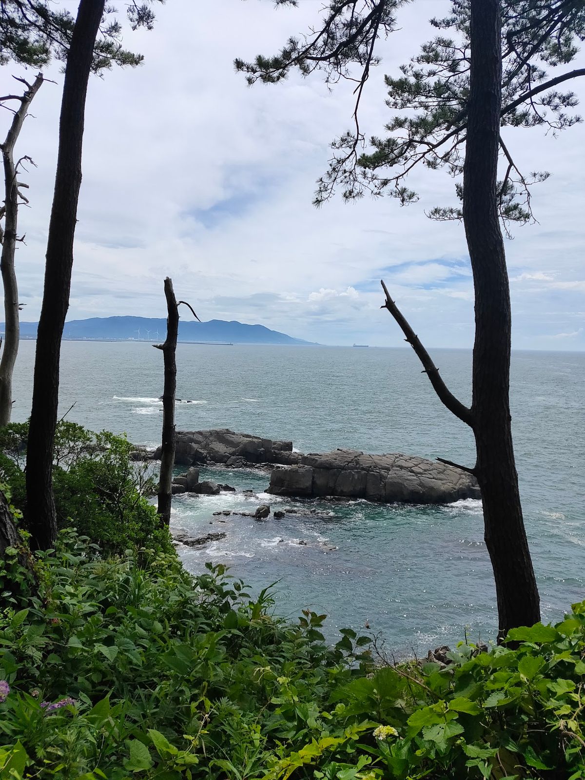 日本海をちゃんと見たことがないなと思ったので、昼前から三国港まで行って雄島...