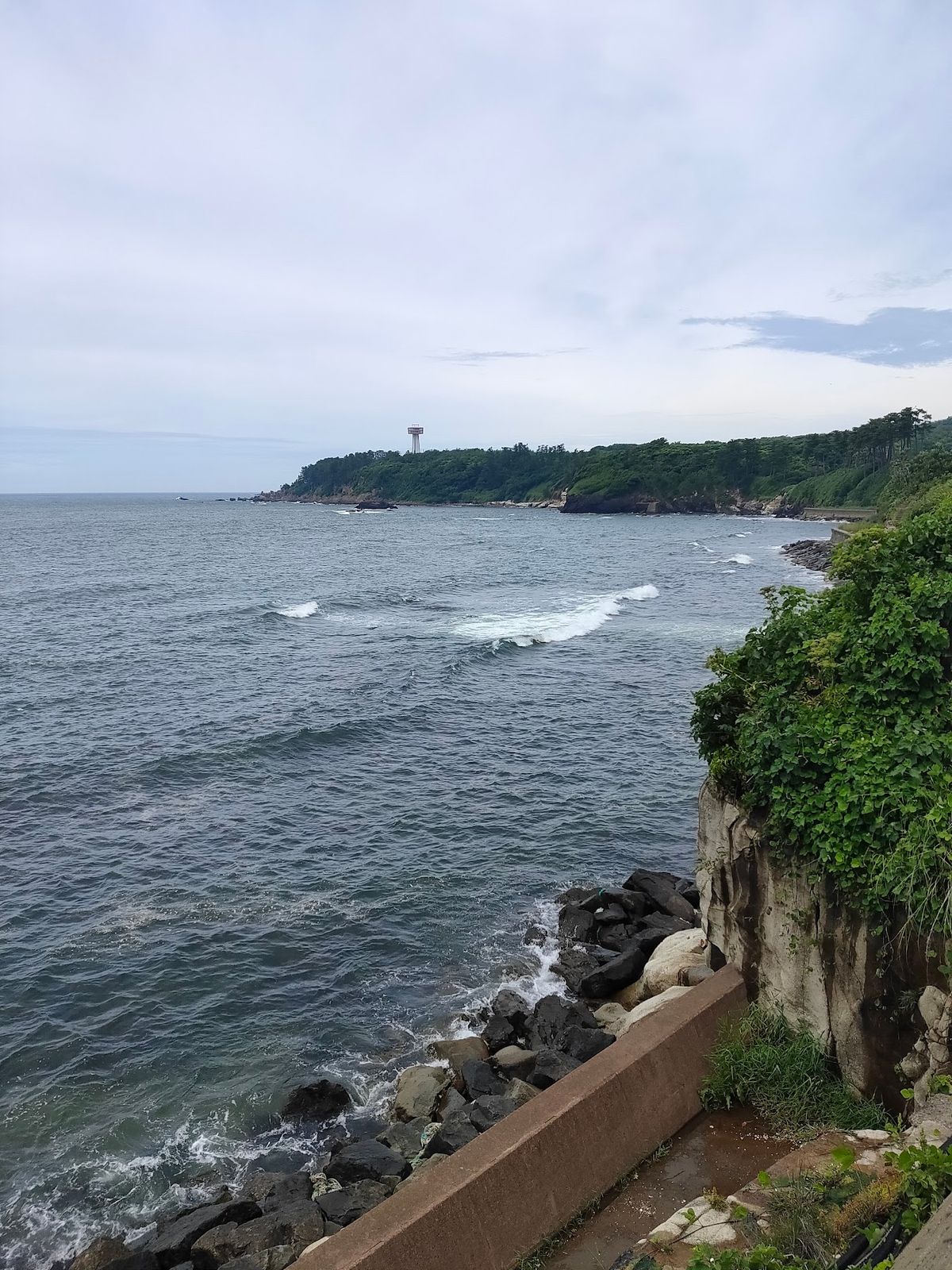 日本海をちゃんと見たことがないなと思ったので、昼前から三国港まで行って雄島...