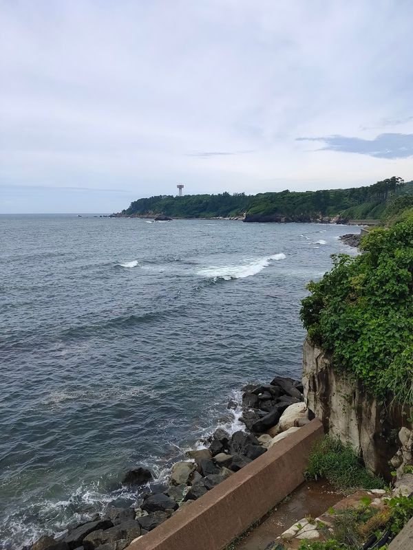 日本・福井県「福井出張」の写真：日本海をちゃんと見たことがないなと思った...