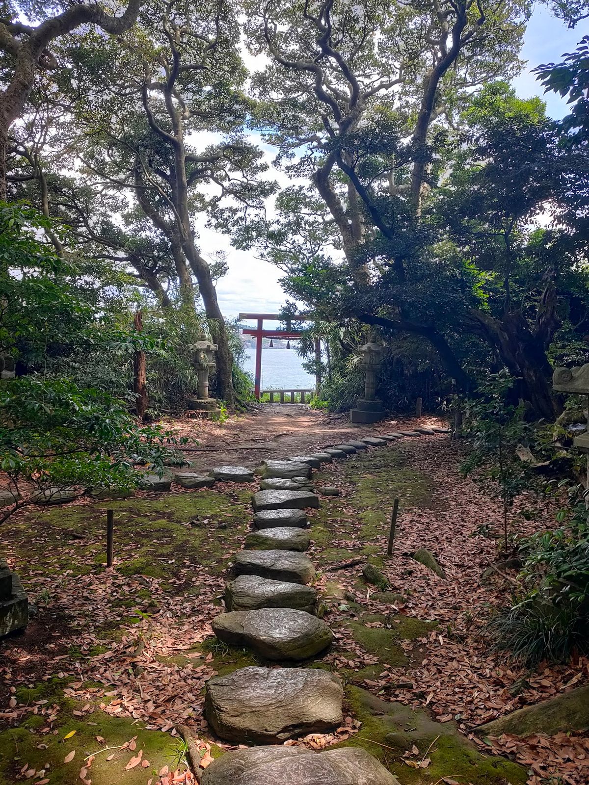 島は自然がよく保存されている、古い森という感じで良い。社まで続く石段は石だ...