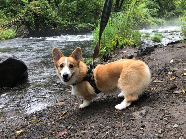 日本・長野県「長野、群馬、栃木」の写真：長野県