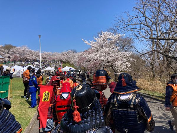 日本・山形県「人間将棋」の写真：天童桜まつりの人間将棋に駒として参加。
...