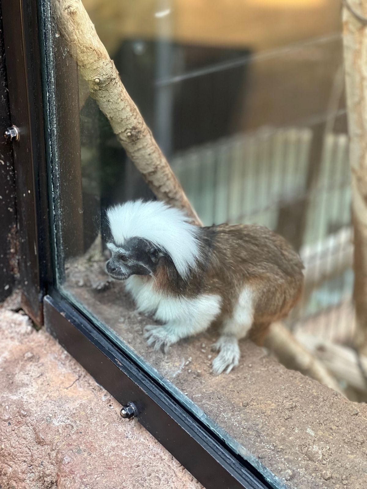 なんでこんなに寄ってきてくれるのかな〜☺️？って思ってたら、いつの間にか後...