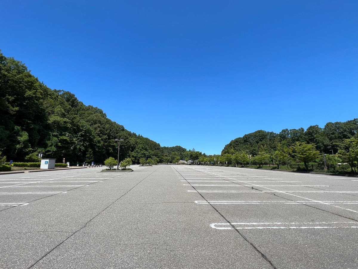 いしかわ動物園

貸切のような空きっぷり☀️